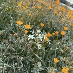 Rory - @rorybryant_u - Instagram