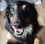 Rory Callaghan - Facebook