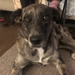 Rory Carlson - @ro_mama_bear - Instagram