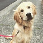 Rory Casey - @rcasey115 - Instagram