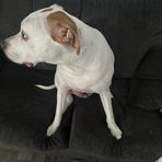 Rorie Chase - Facebook