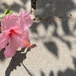 Rory Comstock - @rorycomstock - Instagram