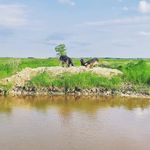 Rory Connell - @ulazy2ranch - Instagram