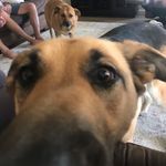 Rory connell - @rory_is_realy_cute - Instagram