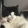 Rory Devlin - @rorydevlin1 - TikTok