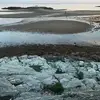 Roro - @rorydobson0 - TikTok