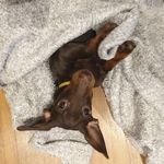 Rory Franklin - @roryfranklin1 - Instagram