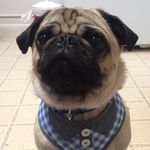Rory Franklin Kobee Sadowski - @rory_franklin_kobee_sadowski - Instagram