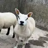 Rory Freeman - @rory090824 - TikTok