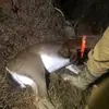 Rory Goss - @rory.goss - TikTok