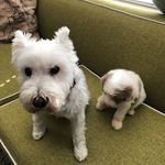 Grady & Rory - @gradyandrory - Instagram