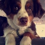Rory Grady - @rory_mcilroy_grady - Instagram