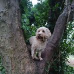Rory Harrison - Facebook