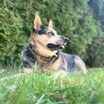 Rory Jensen - @rory_jr6708 - Instagram