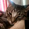 Rory Johnson - @rory.johnson0 - TikTok