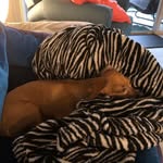Keith Rory - @keith.rory - Instagram