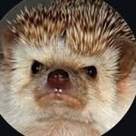 Rory Kirk - @rorchestershireee - Instagram