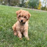 Rory Knapp - @rory_knapp_ - Instagram