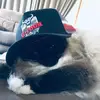 Kyle - @rorykyle_ - TikTok