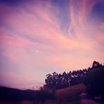 Rory - @_rory_____lamby0p - Instagram