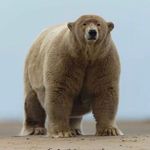 RORY LANE - @roraccio - Instagram