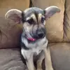 🐶Rory Lane🐶 - @rory_lane29 - TikTok
