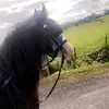Rory Langdon - @rorylangdon - TikTok