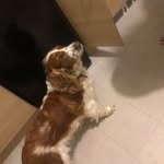 Rory Lawrence - @ladderscrumbs0e - Instagram