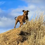 Rory Lawson - @camoklr - Instagram