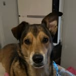 rory - @rory.legrande - Instagram