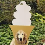 Rory Levine - @rorylevine - Instagram