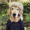 Rory Levine - @rory.levine - TikTok