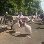 Rory Lewis - @rorylewis71 - Instagram