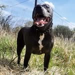 Rory - @rory_lloydudyh - Instagram