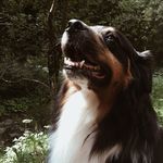 Rory Lowe - @rory_lowe_tszv - Instagram