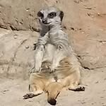 Richard Rory Lyons - @richard.r.lyons - Instagram