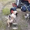 Rory Mack - @rory.mack2 - TikTok