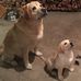 Rory Malcolm - Facebook