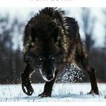 Rory Manning - @manning_rory - Instagram