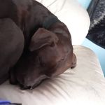 Rory Manning - @roryjackson260 - Instagram
