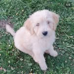 Rory Marks - @rorymarks_23 - Instagram
