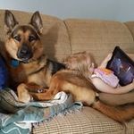 Rory Marr - @rory.marr - Instagram