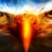 Rory McCook - Facebook