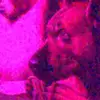 rorymccormick149 - @rorymccormick149 - TikTok