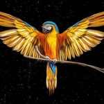 @rorymccormickmusic - Instagram