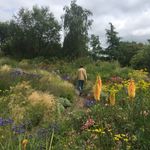 Rory McDonnell - @mrrorymcdonnell - Instagram