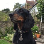 Rory McLeod - @rjsmcleod - Instagram