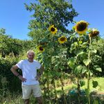 Rory Mcleod - @rorymcleodpottery - Instagram