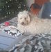 Rory McNulty - Facebook