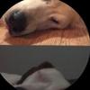 Rory and miles - @roryandmiles25 - TikTok